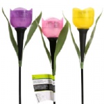 solar promo tulip light